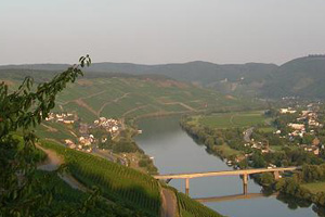 Lieser Mosel